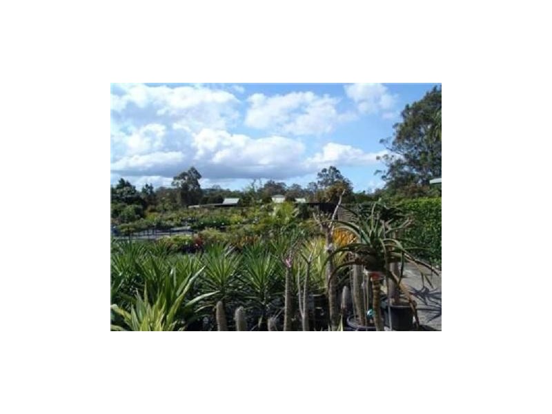 497 Morayfield Road, Burpengary QLD 4505