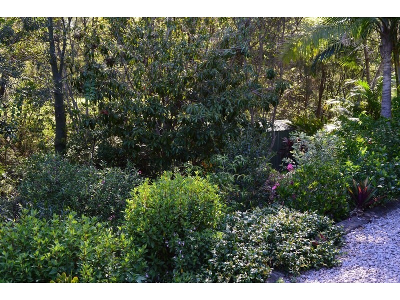 51 Riverside Circuit, Bellmere QLD 4510