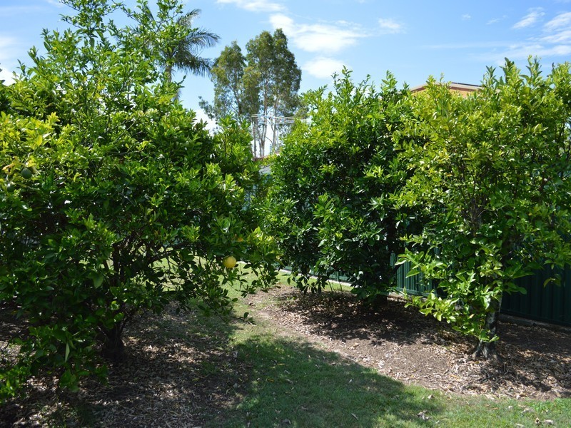 2 Riviera Court, Morayfield QLD 4506