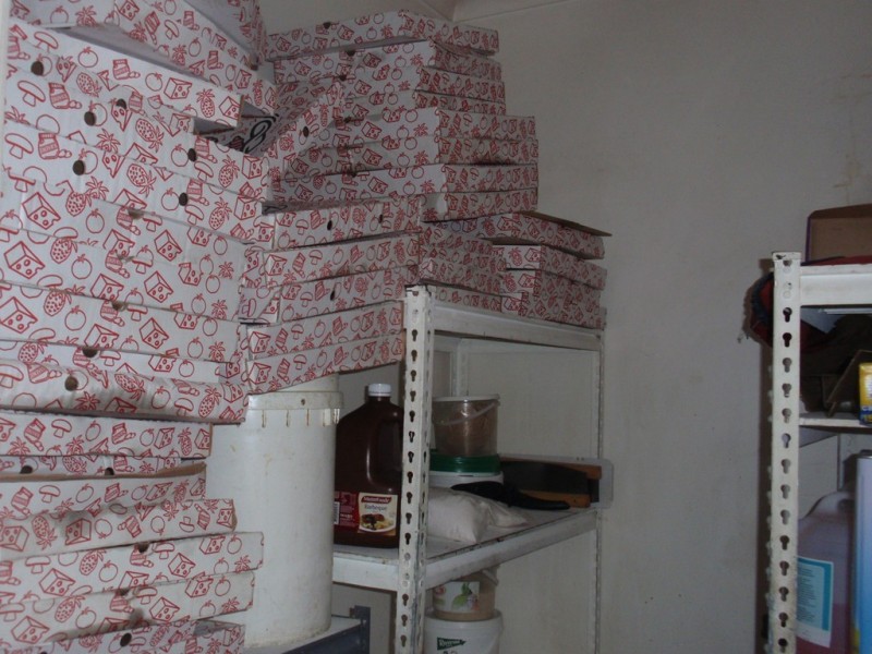 Mount Coolum QLD 4573