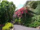 Cooroy QLD 4563