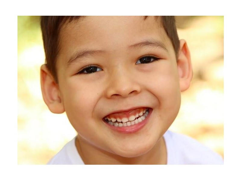 Wagga Wagga NSW 2650