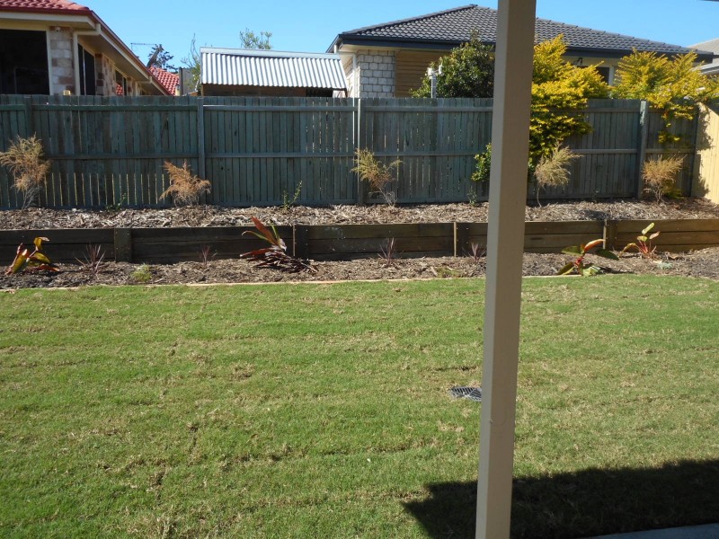 15 Nelson Court, Morayfield QLD 4506