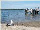 Pelican Waters QLD 4551