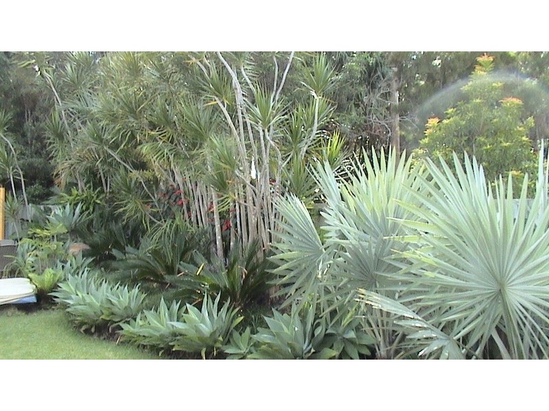 6 Heath Crt, Little Mountain QLD 4551