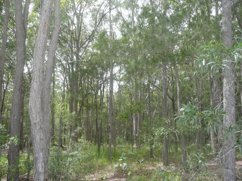 Little Mountain QLD 4551