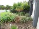 6 Midyim Court, Meridan Plains QLD 4551