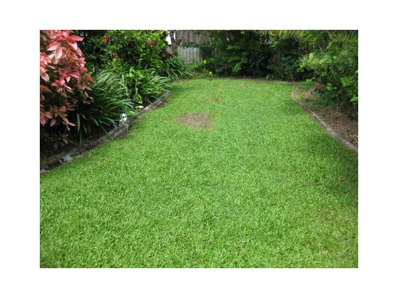 6 Cromwell Street, Battery Hill QLD 4551