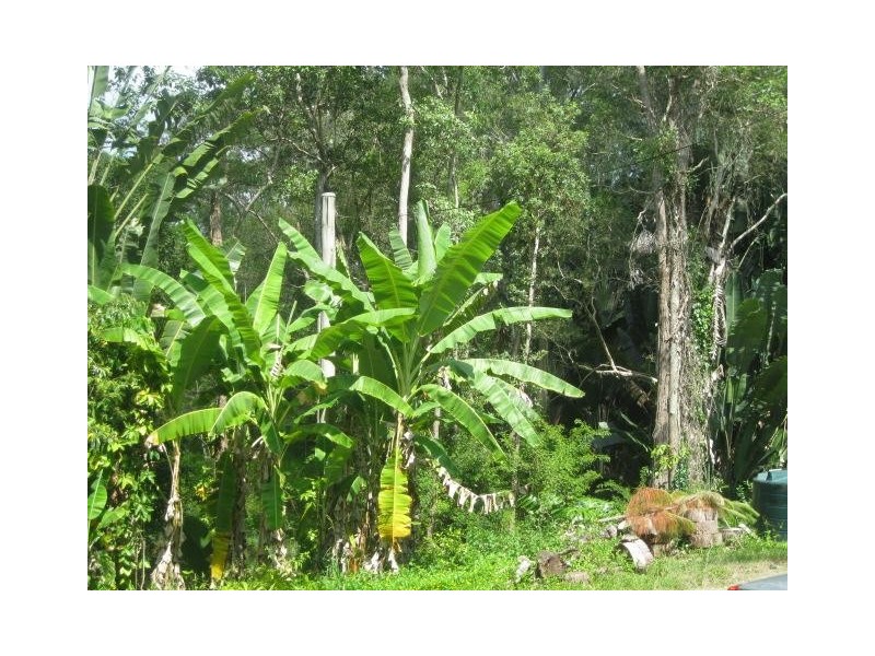 2122 Old Gympie Rd, Glass House Mountains QLD 4518