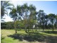 Caloundra QLD 4551