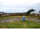 31 Wilkiea St, Caloundra QLD 4551