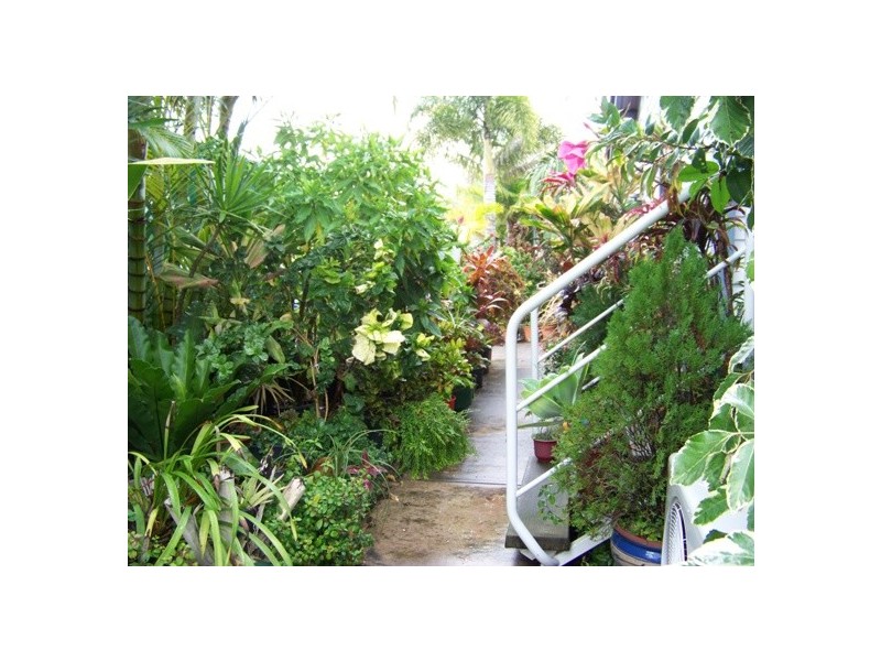 Little Mountain QLD 4551