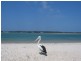 Golden Beach QLD 4551