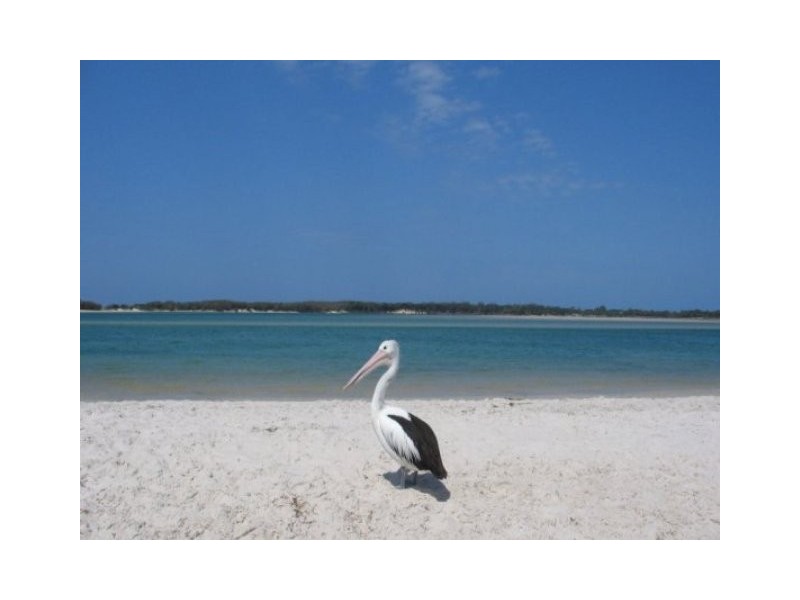 Golden Beach QLD 4551