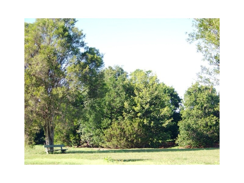 36 LATCHAM DRIVE, Caloundra QLD 4551