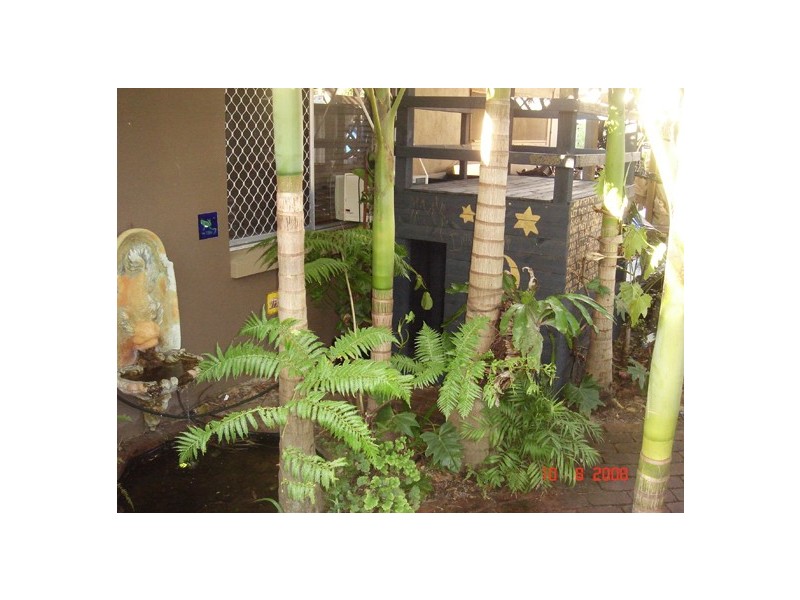 1 – 3 BULL, Caloundra QLD 4551