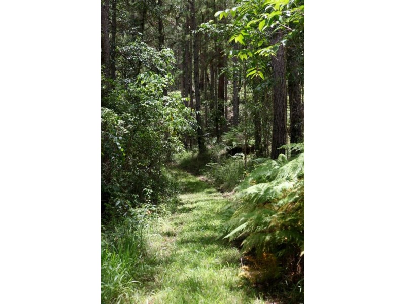 484 Glenview Rd, Glenview QLD 4553