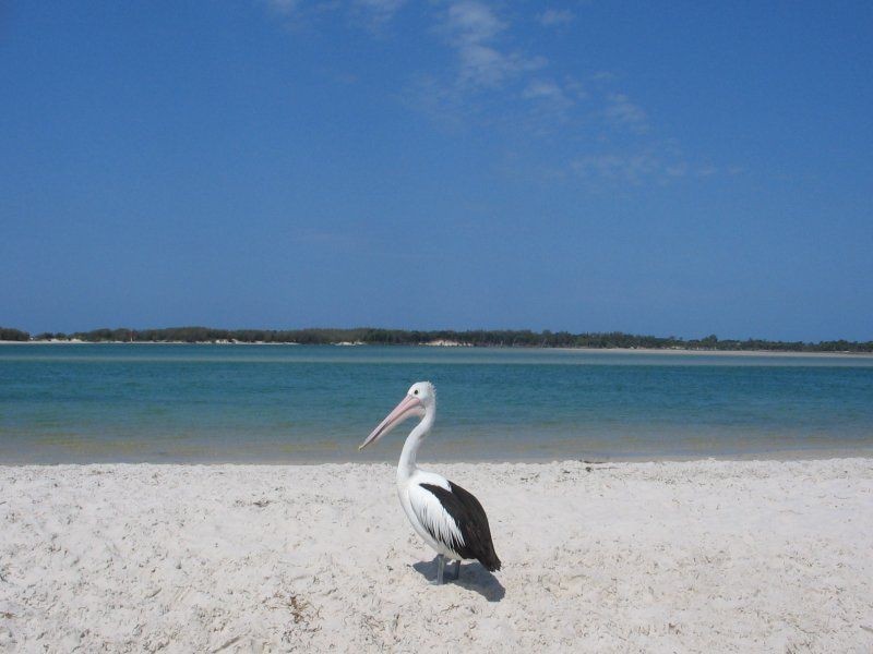 2 – 4  Coronation  Ave, Golden Beach QLD 4551