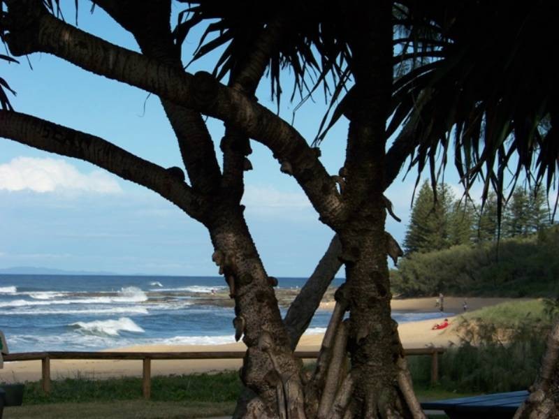 3 WELLINGTON PDE, Shelly Beach QLD 4551