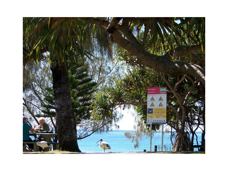 2 HENZELL ST, Dicky Beach QLD 4551