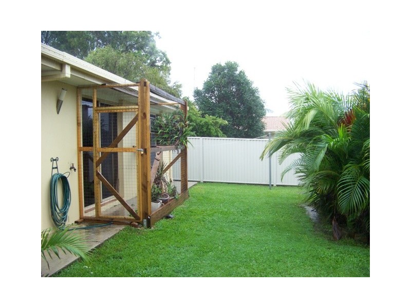 117 COOROORA STREET, Battery Hill QLD 4551