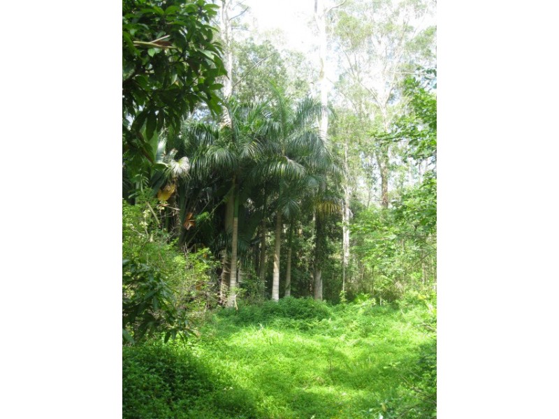 2122 OLD GYMPIE ROAD, Glass House Mountains QLD 4518