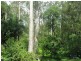 2122 OLD GYMPIE ROAD, Glass House Mountains QLD 4518