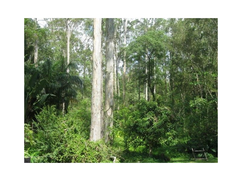 2122 OLD GYMPIE ROAD, Glass House Mountains QLD 4518
