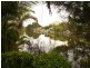 Clear Island Waters QLD 4226