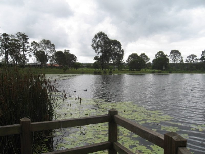 14 Stockwellia Street, Meadowbrook QLD 4131