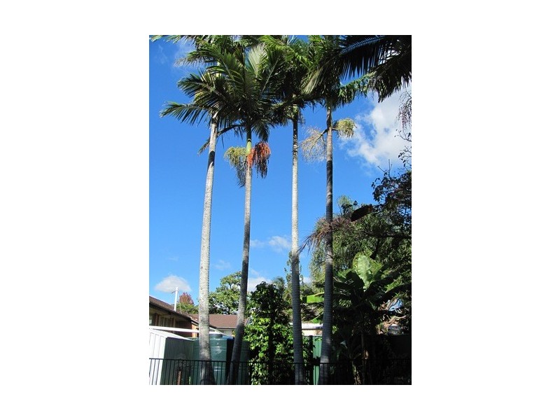 Woodridge QLD 4114