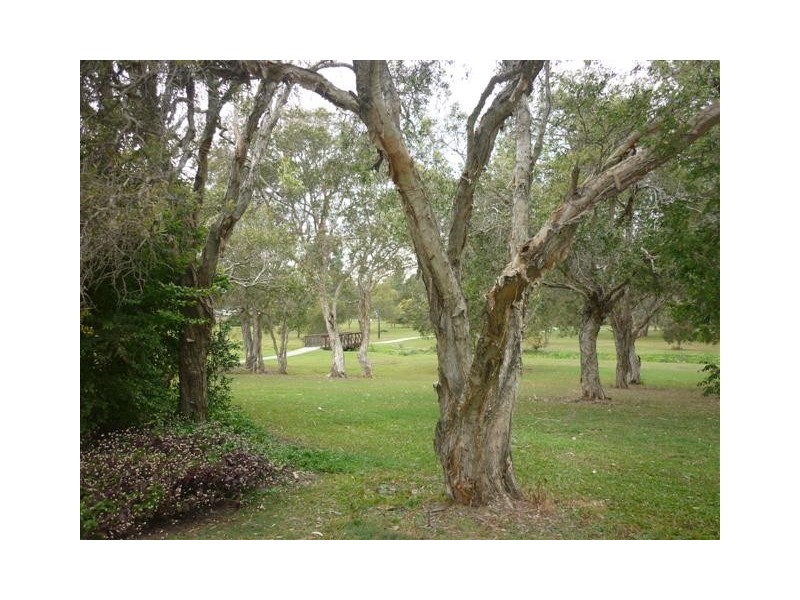 2/17 Roland Street, Geebung QLD 4034