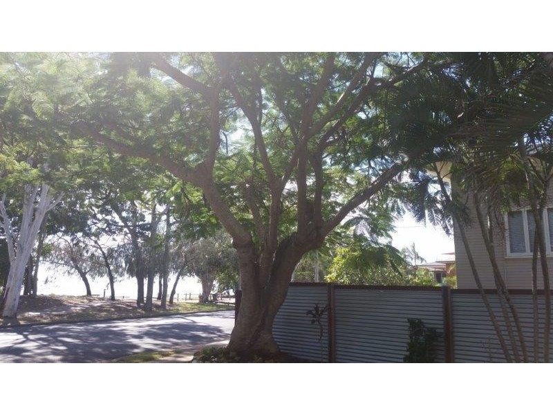 1/490 Esplanade, Torquay QLD 4655