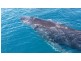 U14 451-452 Charlton Esplanade, Torquay QLD 4655