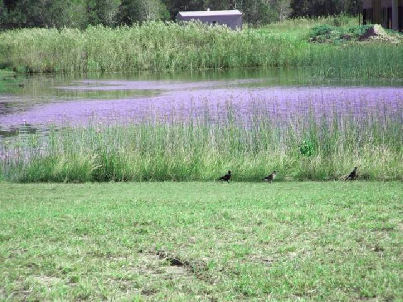 10 BLUE LAGOON wAY, Dundowran Beach QLD 4655