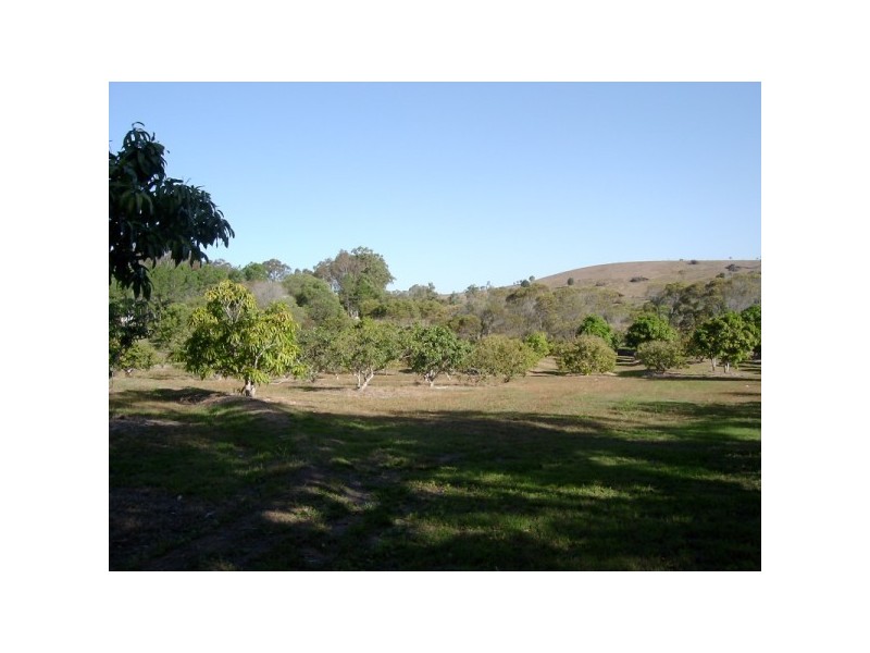 705 Torbanlea Road, Takura QLD 4655