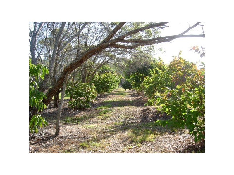 705 Torbanlea Road, Takura QLD 4655