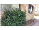 37 Islander Rd, Pialba QLD 4655