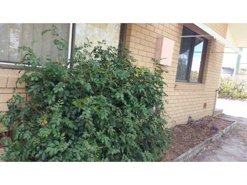 37 Islander Rd, Pialba QLD 4655