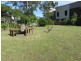 75 ESPLANADE, Point Vernon QLD 4655