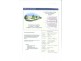 Lot 44 Southern Cross Circuit, Urangan, Hervey Bay QLD 4655