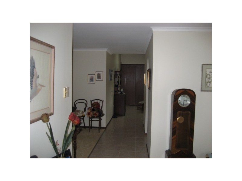 12 Moonlight Avenue, Torquay QLD 4655