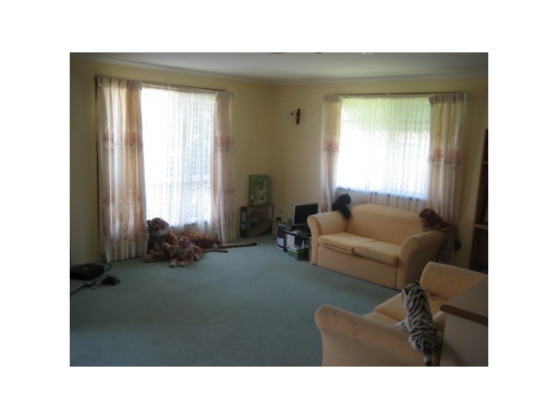 4/63 Newhaven Street, Pialba QLD 4655