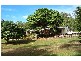 211 Rainbows Road, Childers QLD 4660