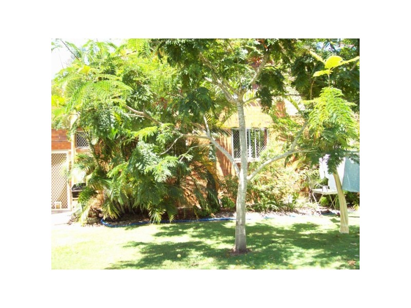 44 Spence Street, Point Vernon QLD 4655