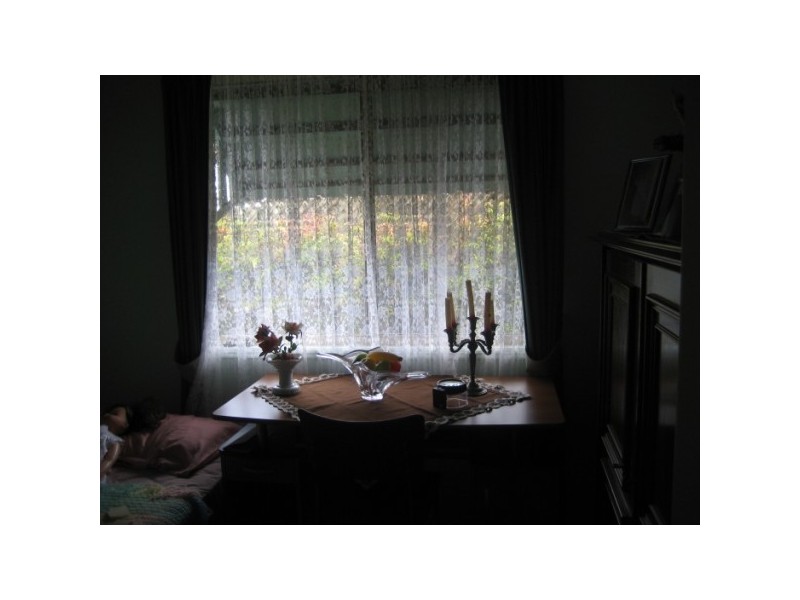 79 Dolphin Avenue, Pialba QLD 4655