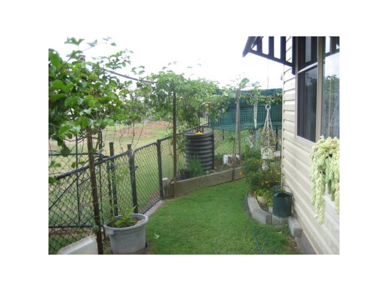 79 Dolphin Avenue, Pialba QLD 4655