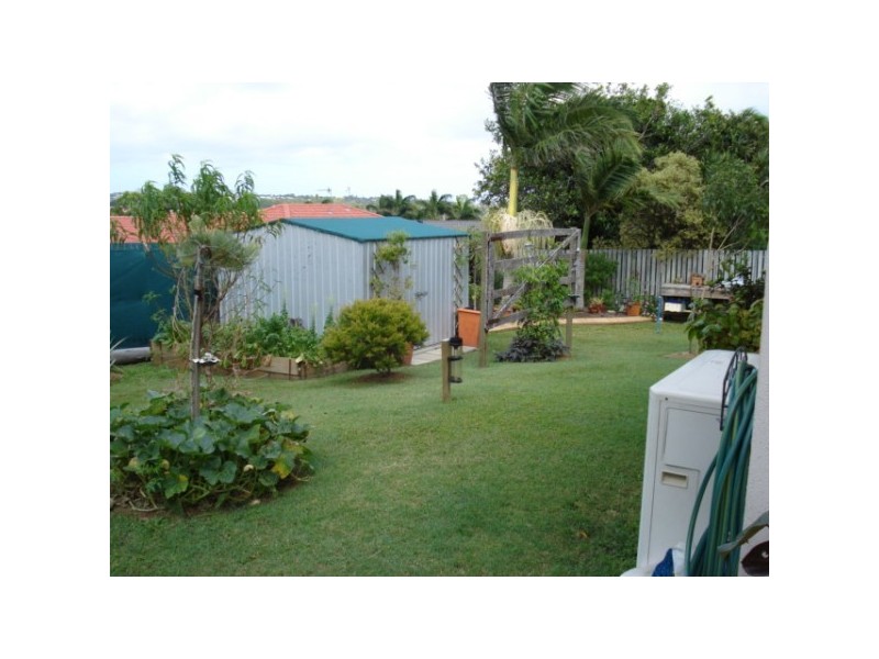 21 McLiver Street, Pialba QLD 4655