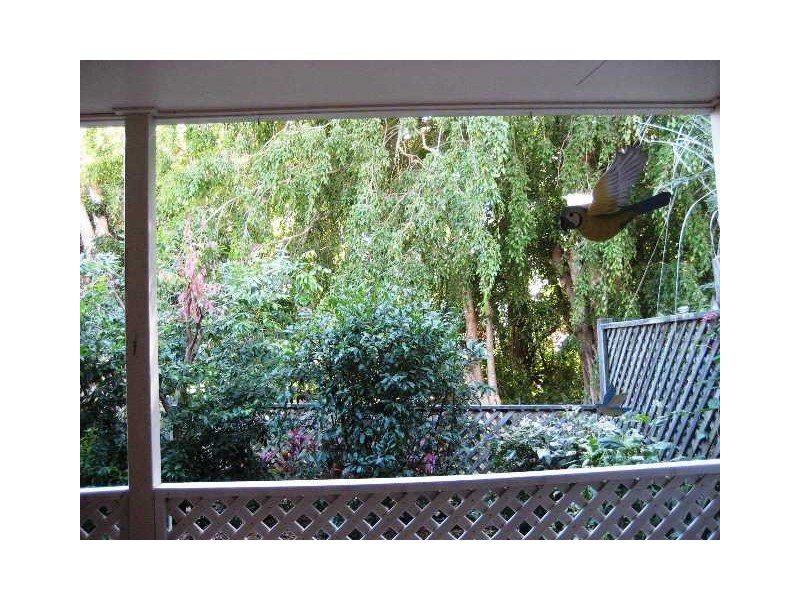 5/123 Freshwater Street, Torquay QLD 4655