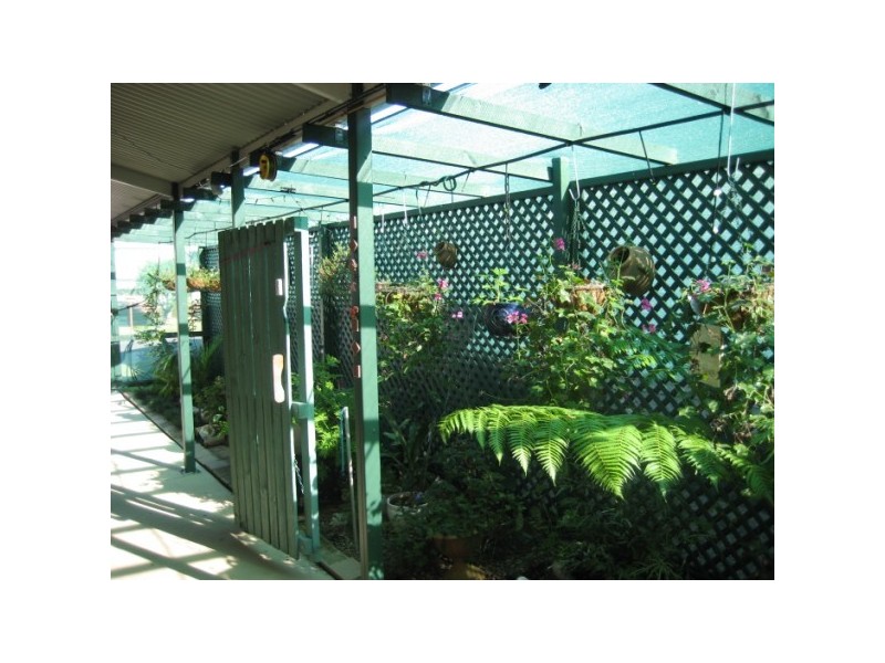 Urangan QLD 4655
